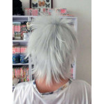 Cosplay Peruk Cosplay Peruk