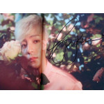 Kpop Signed Poster Kpop Signed Poster