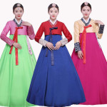 Hanbok Hanbok Kore Geleneksel Kıyafeti
