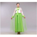 Hanbok Hanbok Kore Geleneksel Kıyafeti