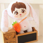 Exo Oyuncak Peluş 23 cm Exo Oyuncak Peluş 23 cm