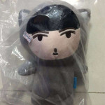 Exo Peluş 23 cm Exo Peluş 23 cm