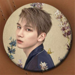 VIXX Rozet Broş VIXX Rozet Broş