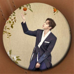 VIXX Rozet Broş VIXX Rozet Broş