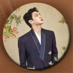 VIXX Rozet Broş VIXX Rozet Broş